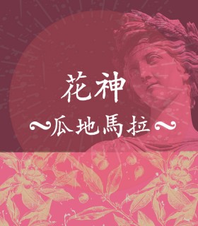 花神 瓜地馬拉